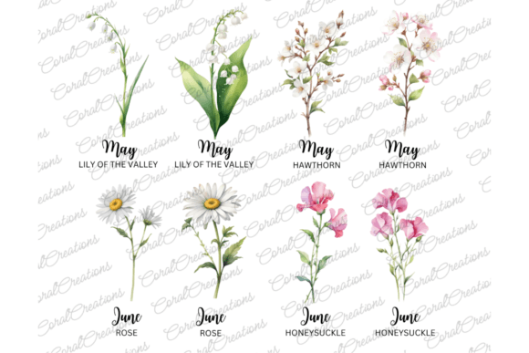 50 Watercolor Birth Month Flowers PNG