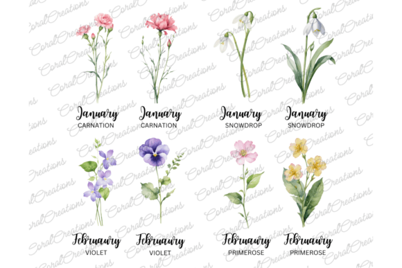 50 Watercolor Birth Month Flowers PNG